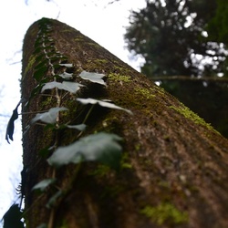 2016-12 France/Rumilly/DSC_0062.JPG